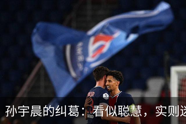 孙宇晨的纠葛：看似聪慧，实则迷失于情感